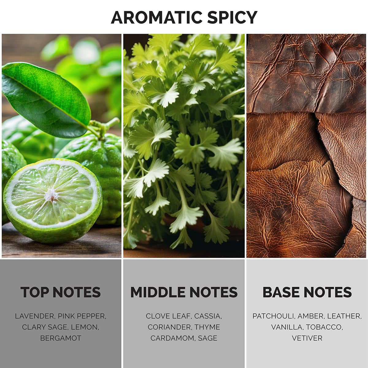 Maison De L'Avenir Vortex Echo EDP