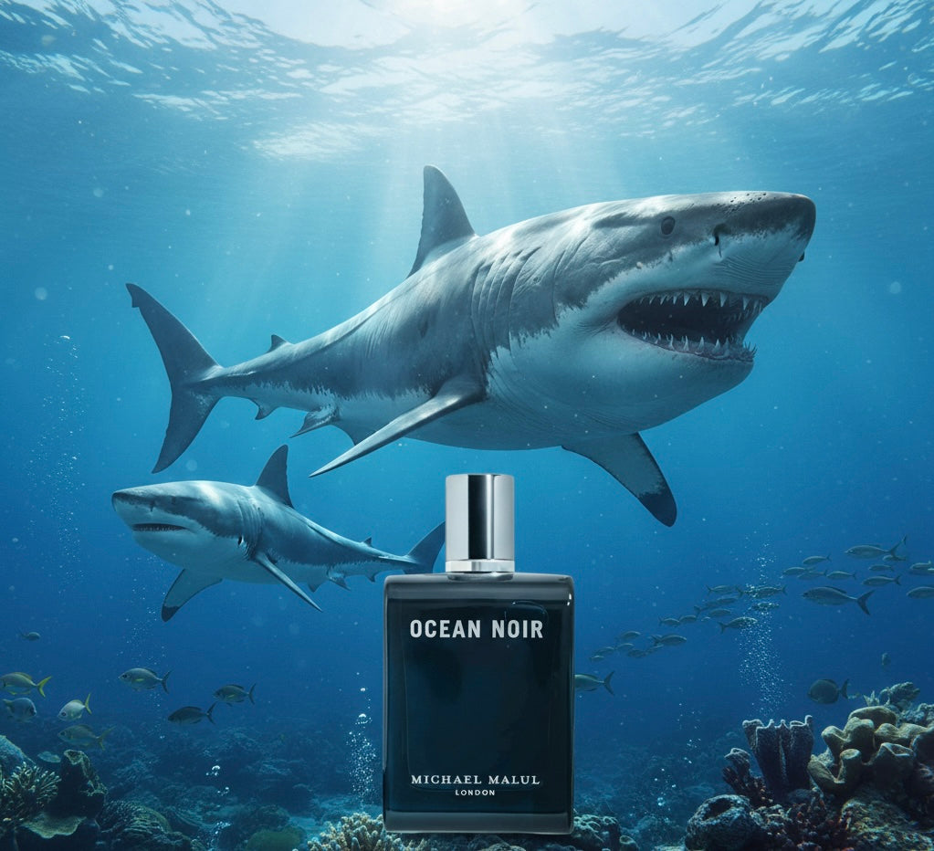 Michael Malul London Ocean Noir