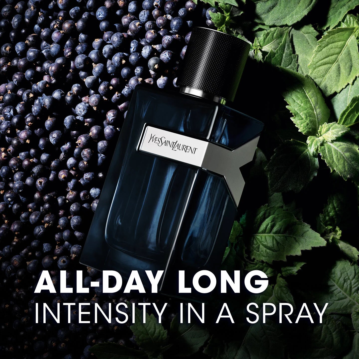 Yves Saint Laurent Intense EDP